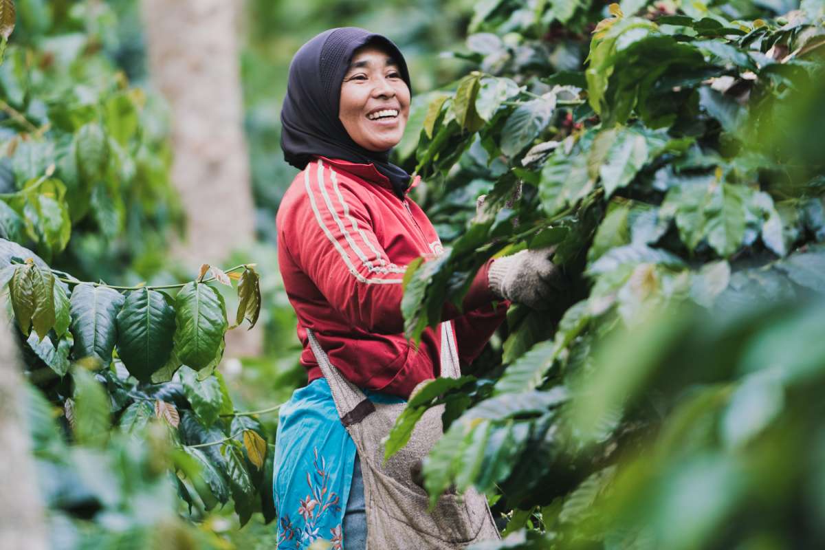 Roaster's Choice: How Our Rotating Coffee Program Works