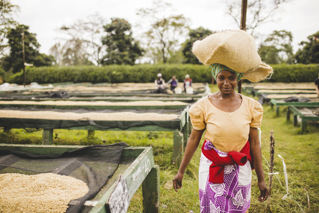 MWANGOKA FARM: BIG FRUIT, CLEAN CUP