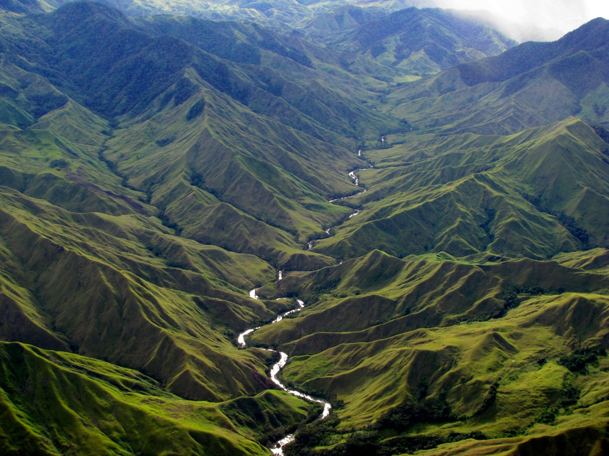 SIMBAI BALUS KOPI